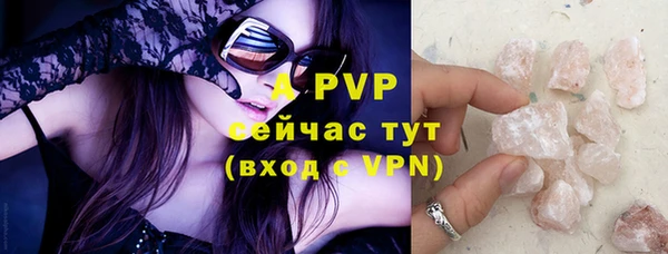 спайс Богданович