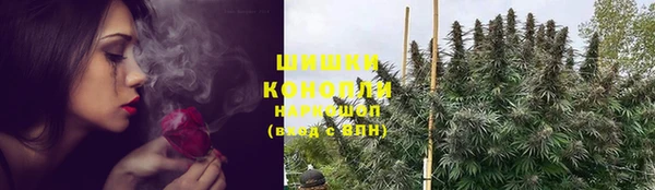 спайс Богданович