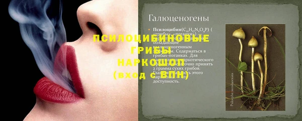 спайс Богданович
